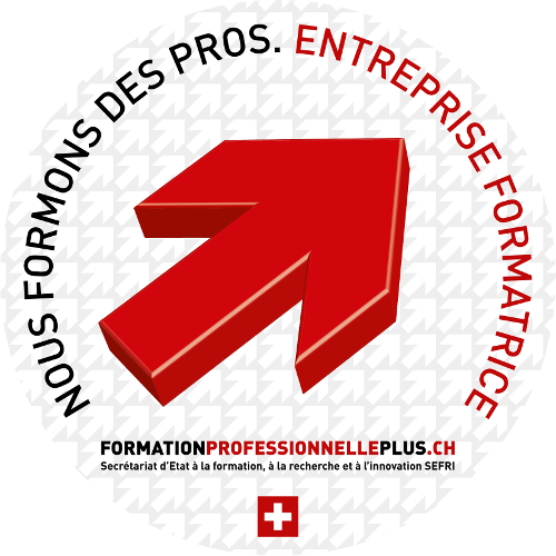 Logo formation professionnelle
